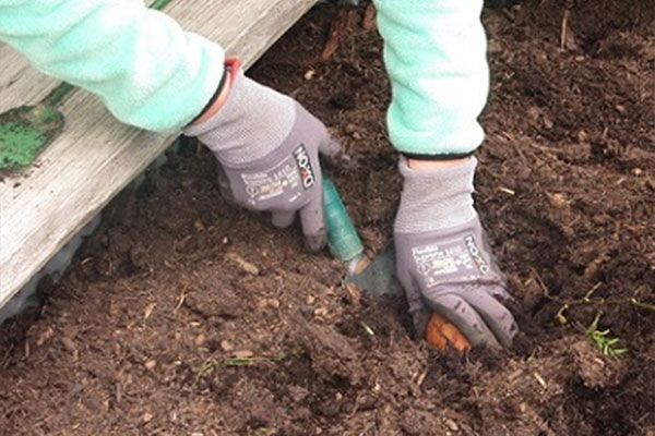 Zu sehen ist ein Schulbeet und die Hände eines Kindes, das mit Gartenhandschuhen und kleiner Schaufel im Beet arbeitet.