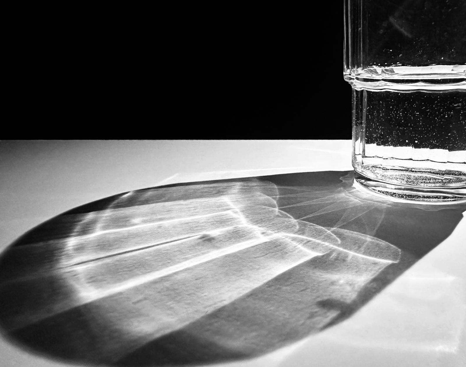 Zu sehen ist die Photographie eines halbgefüllten Wassergrases, das durch das einfallende Licht einen Schatten wirft.