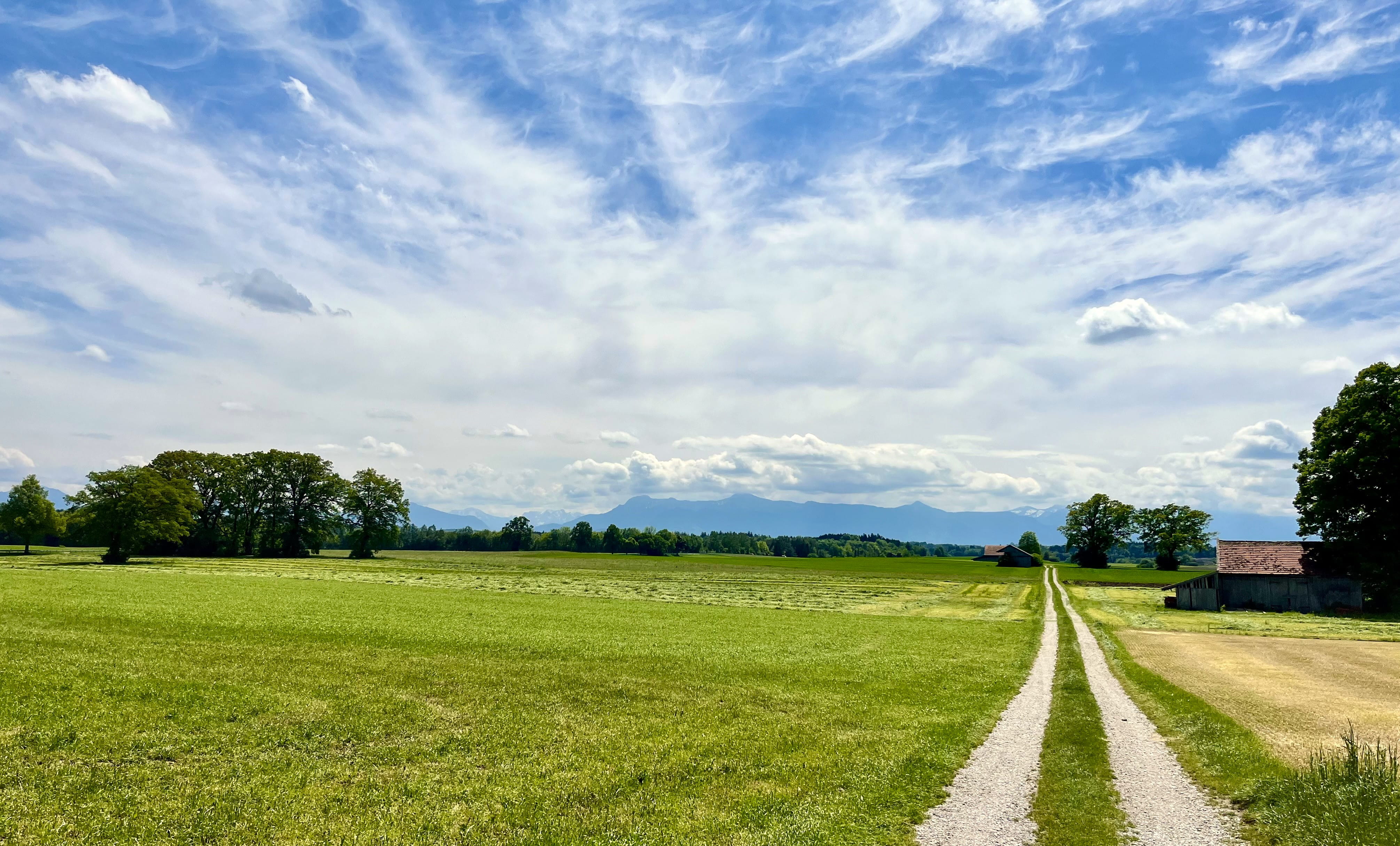 Fr&uuml;hlingswiese vor der Alpenkulisse im S&uuml;den Weilheims