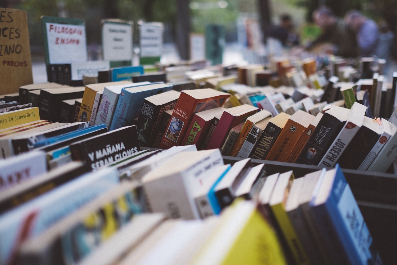 Zu sehen ist eine Aufnahme aus einem Bücherflohmarkt.