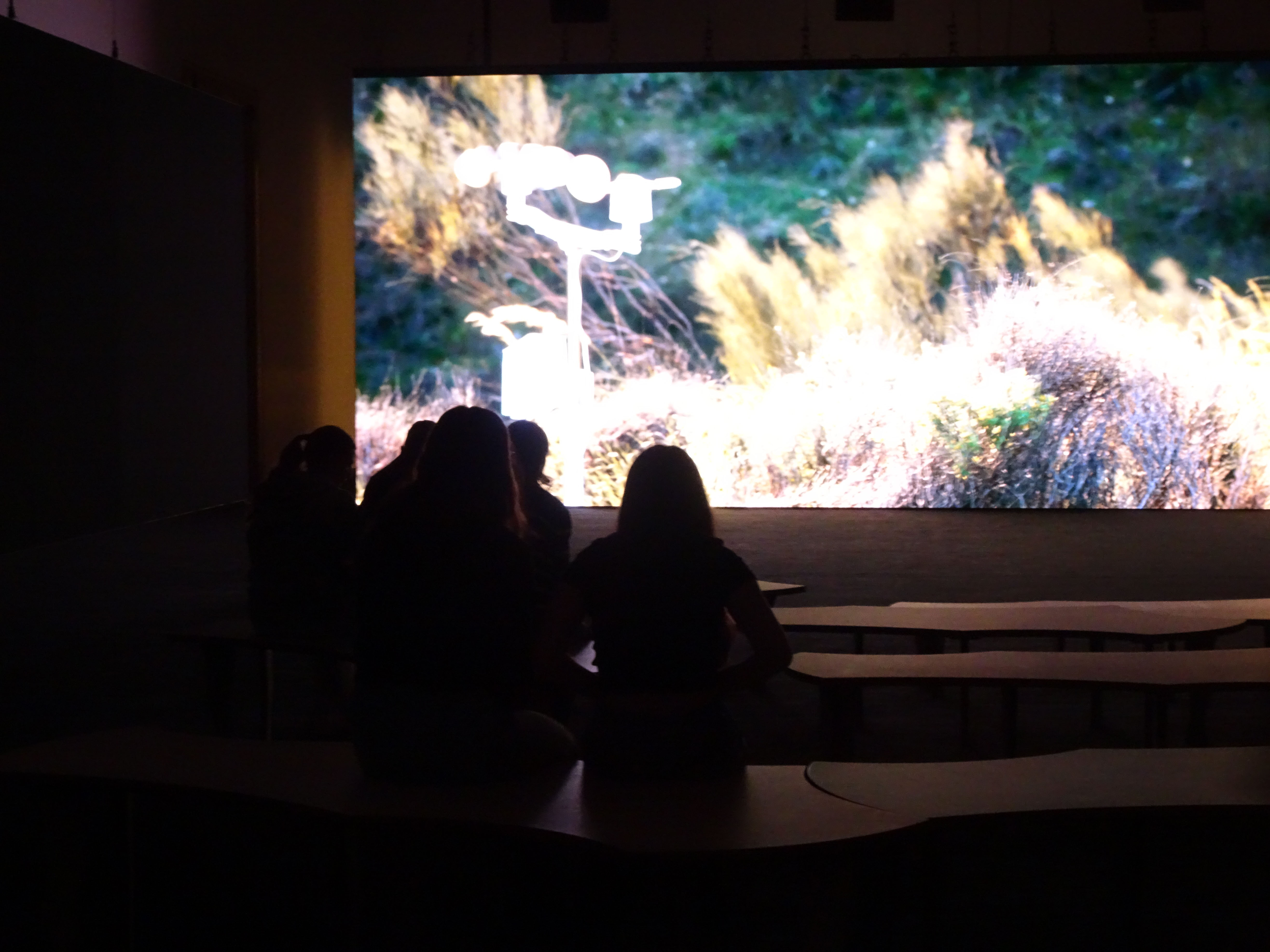 Drei Schülerinnen und Schüler betrachten eine farbintensive Installation in Voices.