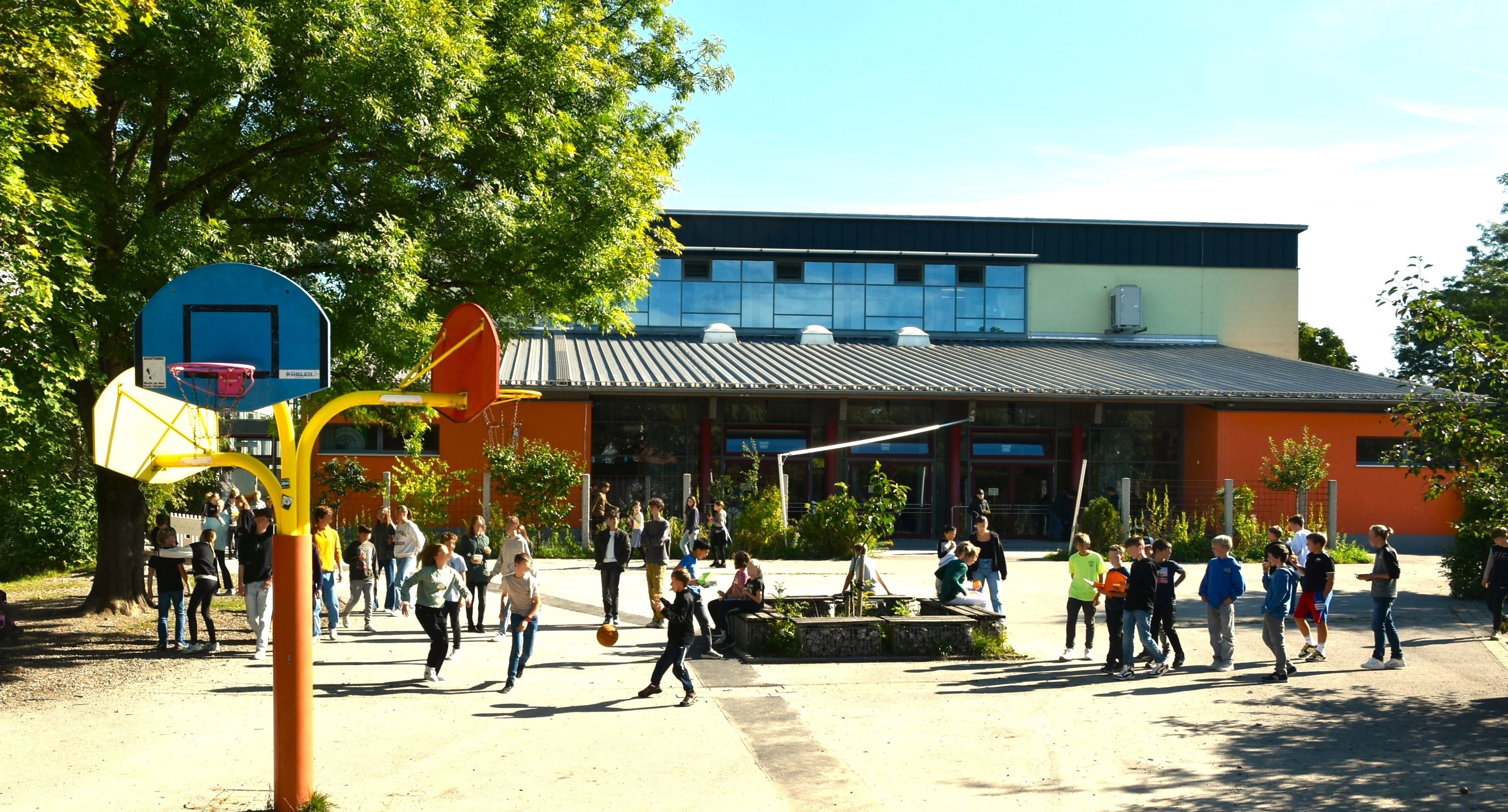 Kinder spielen auf dem Pausenhof, mit Schulgebäude, Basketballkorb und Baum im Hintergrund.
