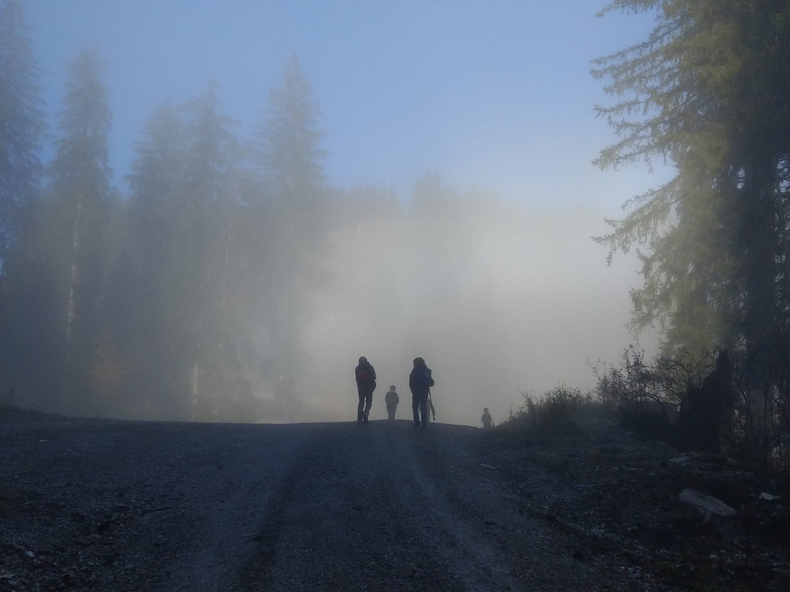 Zu sehen sind Personen, die im Morgengrauen einen Berg hinauflaufen.